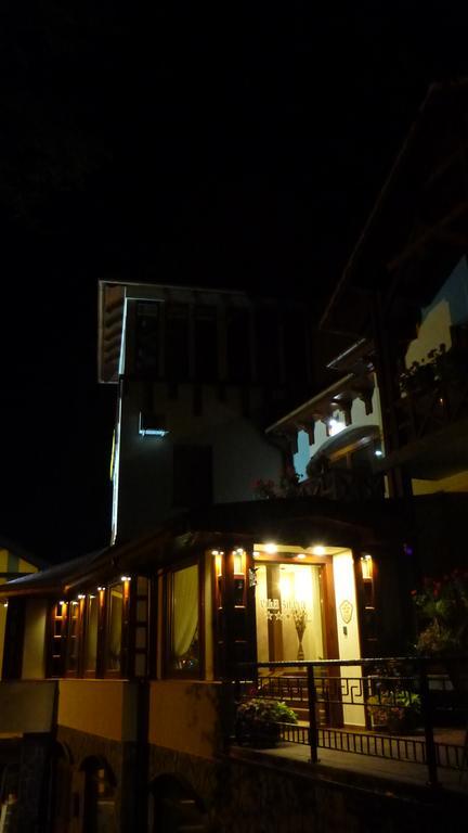 Vila Silvia Sovata Exterior foto
